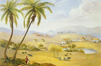 Haughton Court, Hanover, Jamaica, c.1820 (w/c on paper) | Obraz na stenu
