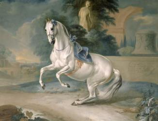 The White Stallion 'Leal' en levade, 1721 (oil on canvas) | Obraz na stenu