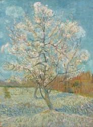 The Pink Peach Tree, 1888 (oil on canvas) | Obraz na stenu