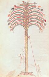 Fol.147v The Metaphor of the Palm Tree, from the Girona Beatus (vellum) | Obraz na stenu