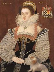 Frances Clinton, Lady Chandos (1552-1623) 1579 (oil on panel) | Obraz na stenu