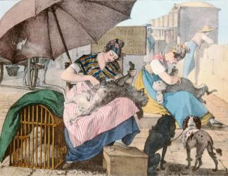 The Dog Groomers, 1820 (colour litho) | Obraz na stenu