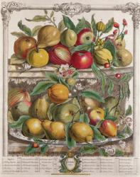 April, from 'Twelve Months of Fruits', by Robert Furber (c.1674-1756) engraved by J. Clark, 1732 (coloured engraving) | Obraz na stenu