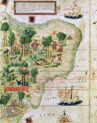 Brazil from the 'Miller Atlas' by Pedro Reinel, c.1519 (detail of 75615) | Obraz na stenu