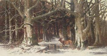 Deer in the Forest, 19th century | Obraz na stenu
