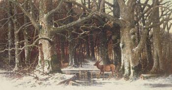 Deer in the Forest, 19th century | Obraz na stenu