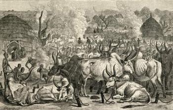 A Dinka cattle park, Southern Sudan, Africa, from 'The World's Inhabitants' by G.T. Bettany, published 1888 (engraving) | Obraz na stenu