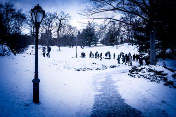 The Tourists in the Snow | Obraz na stenu