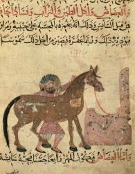 Caring for the horse, illustration from the 'Book of Farriery' by Ahmed ibn al-Husayn ibn al-Ahnaf, 1210 (vellum) | Obraz na stenu