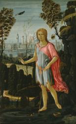Saint John the Baptist, c.1480 (oil on panel) | Obraz na stenu