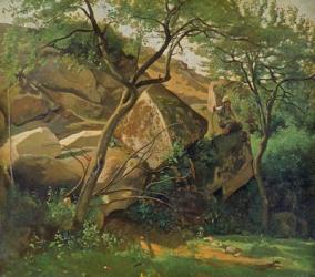 Rocks at Fontainebleau, 1842 (oil on canvas) | Obraz na stenu