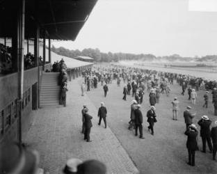 Saratoga race track, Saratoga Springs, N.Y., c.1900-15 (b/w photo) | Obraz na stenu
