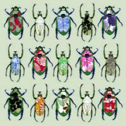 Beetledrive, 2008 (digital) | Obraz na stenu