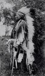 White Wolf, a Comanche Chief, c.1891-98 (b/w photo) | Obraz na stenu