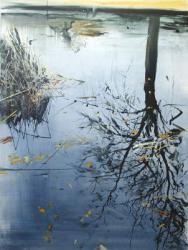 Leaves and Reeds on Tree Reflection, Planten un Blomen | Obraz na stenu