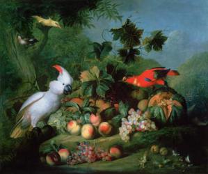 Fruit and Birds | Obraz na stenu