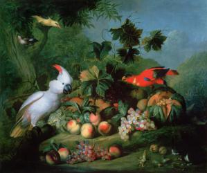 Fruit and Birds | Obraz na stenu