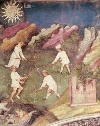 The Month of July, detail of the harvest, c.1400 (fresco) | Obraz na stenu