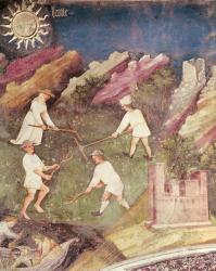 The Month of July, detail of the harvest, c.1400 (fresco) | Obraz na stenu