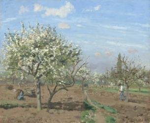 Orchard in Bloom, Louveciennes, 1872 (oil on canvas) | Obraz na stenu
