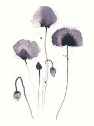 Poppys, 2013 (black tush end grey ink on paper) | Obraz na stenu