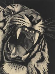 Detail of Snarling Tiger on Black, 2015, (Charcoal on paper) | Obraz na stenu