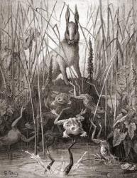 The Hare and The Frogs, from a late 19th century edition of 'Fables de La Fontaine' (wood engraving) | Obraz na stenu