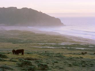 Big Sur | Obraz na stenu