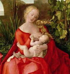 Virgin and Child 'Madonna with the Iris', 1508 (tempera on panel) (detail of 22578) | Obraz na stenu