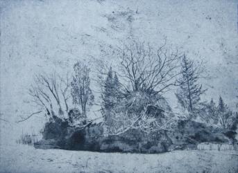 Pinetum, Cammo, 2015, (etching) | Obraz na stenu