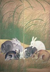Hares and autumn grasses, c.1700 (ink, colour and gold on paper) | Obraz na stenu