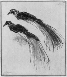 Birds (pen & ink & wash on paper) (b/w photo) | Obraz na stenu