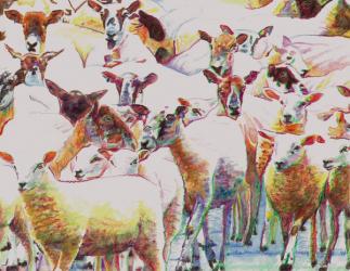 Flock, 2011, (coloured pencils on paper) | Obraz na stenu