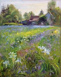 Dwarf Irises and Cottage, 1993 | Obraz na stenu