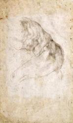 Study for The Creation of Adam (black chalk on paper) (verso) (for recto see 191766) | Obraz na stenu