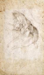 Study for The Creation of Adam (black chalk on paper) (verso) (for recto see 191766) | Obraz na stenu