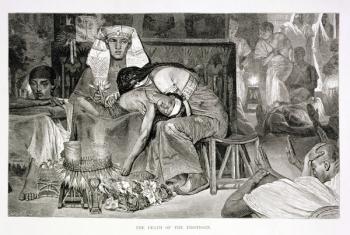 The Death of the Firstborn, 19th century (engraving on paper) | Obraz na stenu
