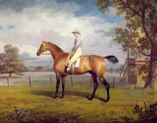 The Duke of Hamilton's Disguise with Jockey Up (oil on canvas) | Obraz na stenu