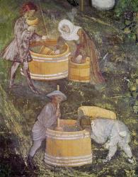 The Month of October, detail of grape-pickers and vats, c.1400 (fresco) | Obraz na stenu