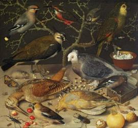 Still Life of Birds and Insects, 1637 | Obraz na stenu