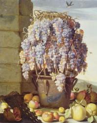 Still Life of Fruit and Grapes | Obraz na stenu
