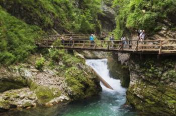 Visitors walking on wooden walkways which run the length of the Vintgar Gorge near Bled, Triglav, National Park, Upper Carniola, Slovenia (photo) | Obraz na stenu