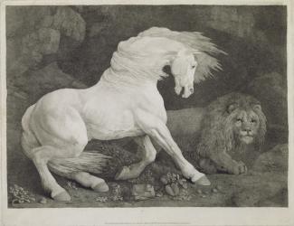A Horse Affrighted by a Lion, engraved by the artist, pub. 1788 (etching) | Obraz na stenu