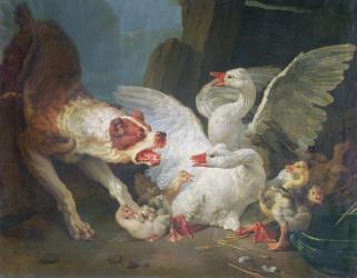 A Dog Attacking Geese, 1769 (oil on canvas) | Obraz na stenu