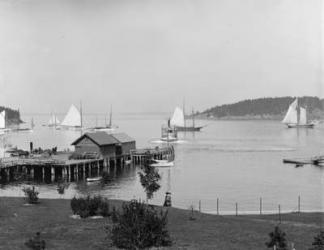 Bar Harbor, Mt. Desert Island, Maine, the harbour from Newport House, c.1901 (b/w photo) | Obraz na stenu