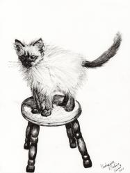 Pudsquiz Belina, 2015, (ink on paper) | Obraz na stenu