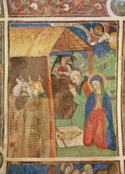 The Nativity, c.1480 (fresco) | Obraz na stenu