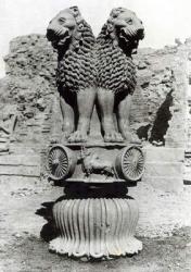 Lion capital from the Pillar of Emperor Ashoka, 273-236 BC (polished sandstone) (b/w photo) | Obraz na stenu
