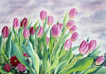 Tulips by Window (watercolour on paper) | Obraz na stenu