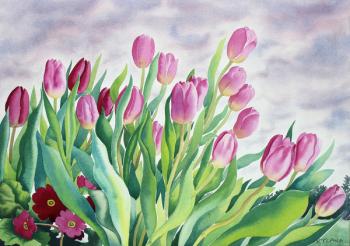 Tulips by Window (watercolour on paper) | Obraz na stenu